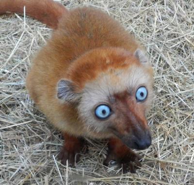 Прикрепленное изображение: 6869457.jpg